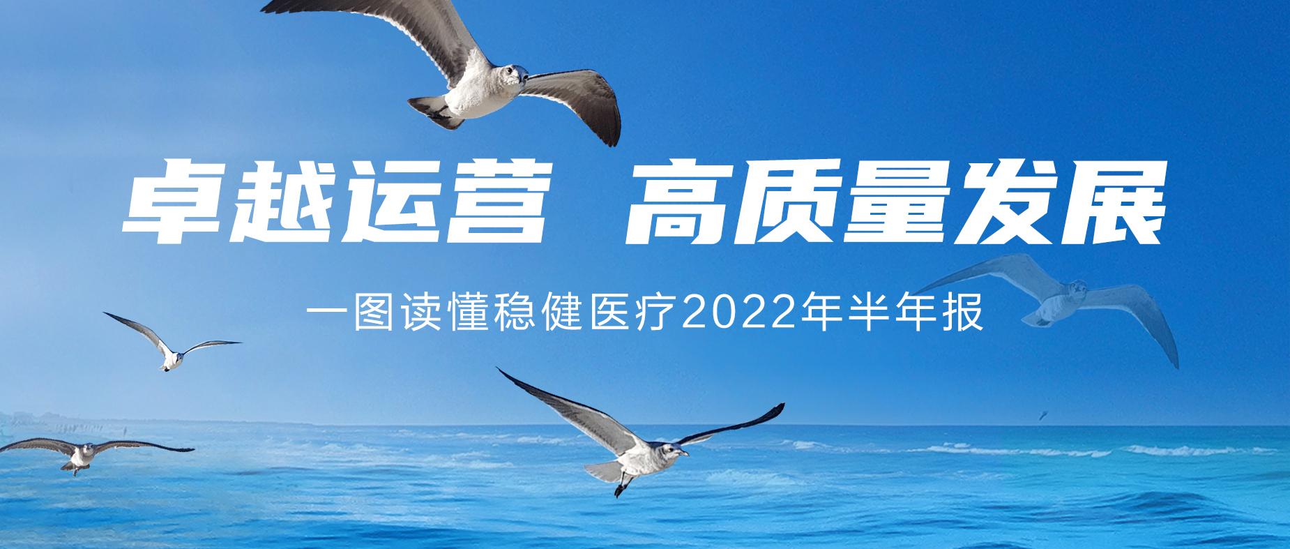 一图读懂龙8头号玩家2022年半年报