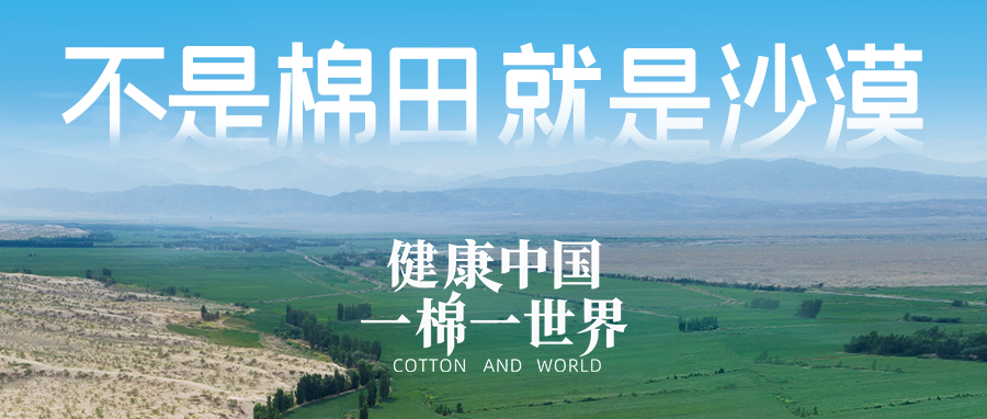 链接天下，，，，，，，，引领康健生涯，，，，，，，，龙8头号玩家集团受邀亮相首届链博会